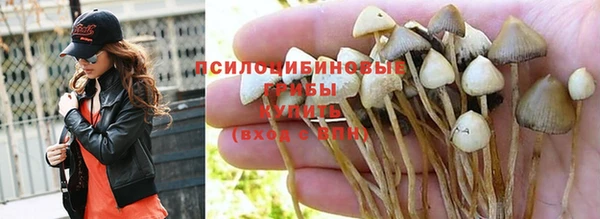 ГАЛЛЮЦИНОГЕННЫЕ ГРИБЫ Алексеевка