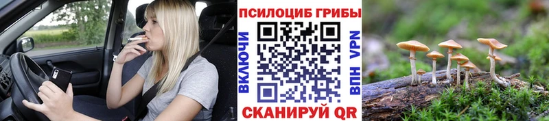 Галлюциногенные грибы ЛСД  Славск 